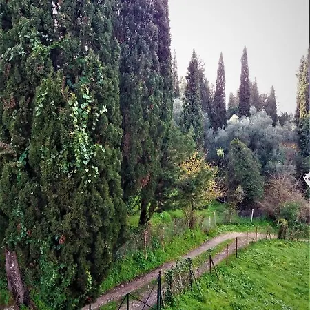 With View