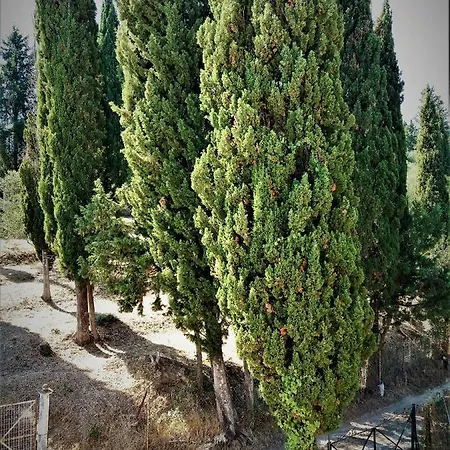 With View Διαμέρισμα